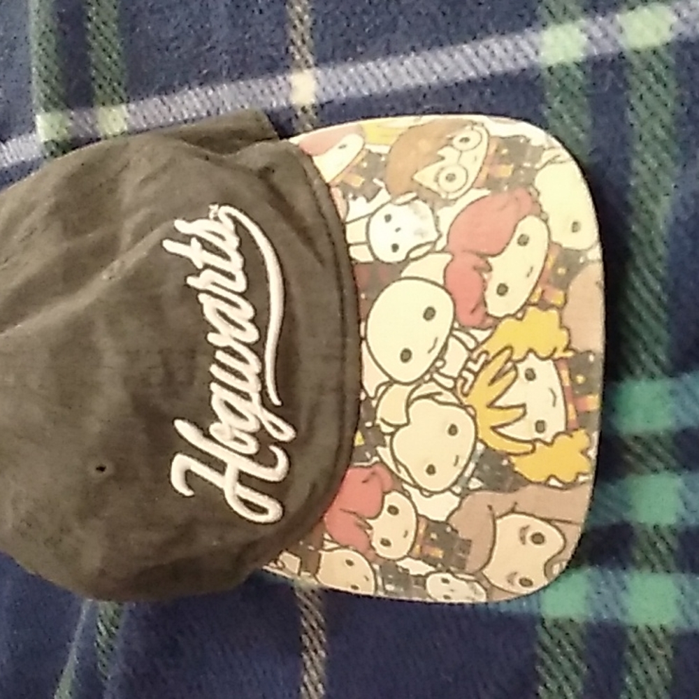 Harry potter hat